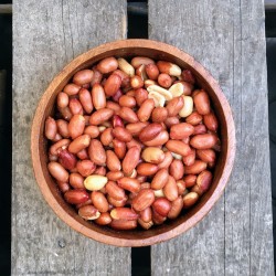 Grote vliespinda's gezouten - Verse gezonde noten