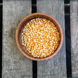Popcorn mais Popcorn maïs Verse gezonde noten